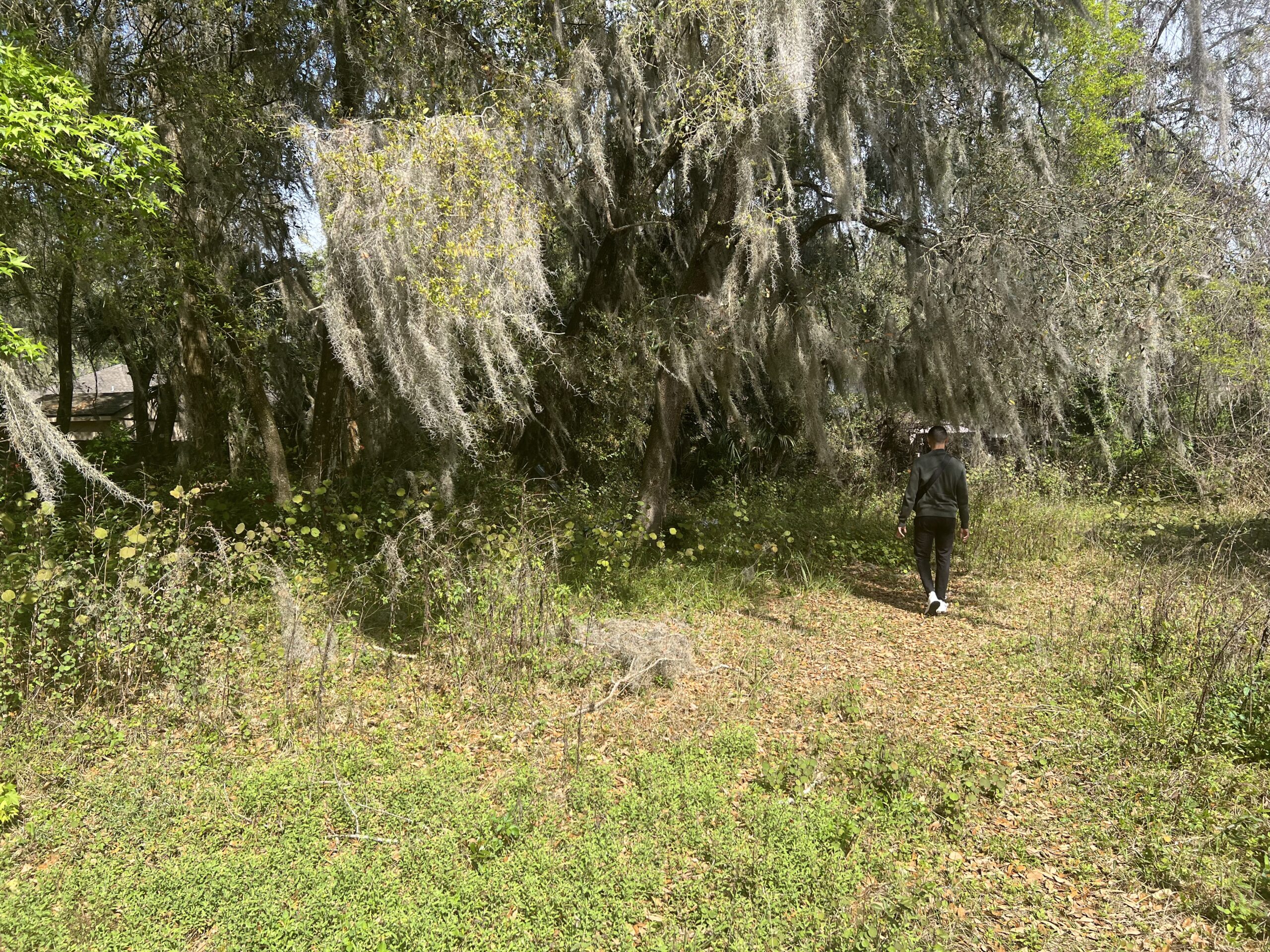 IMG_1237